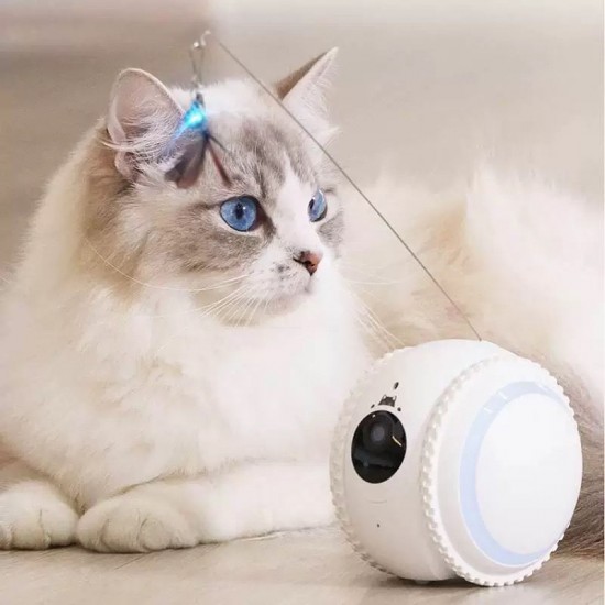 Hot Sale Smart Companion Robot For Pets play with pets remotely Dog Cat Robot