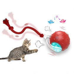 Including All of the best-selling Interactive Cat Toy USB Rechargeable Fast Rolling Perfect for Carpets